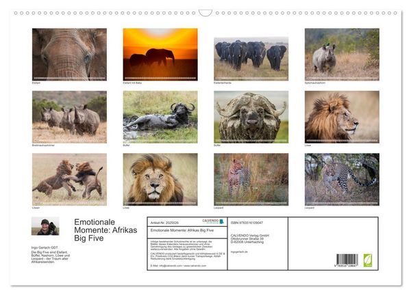 Produktbild: Emotionale Momente: Afrikas Big Five (Wandkalender 2026 DIN A2 quer), CALVENDO Monatskalender