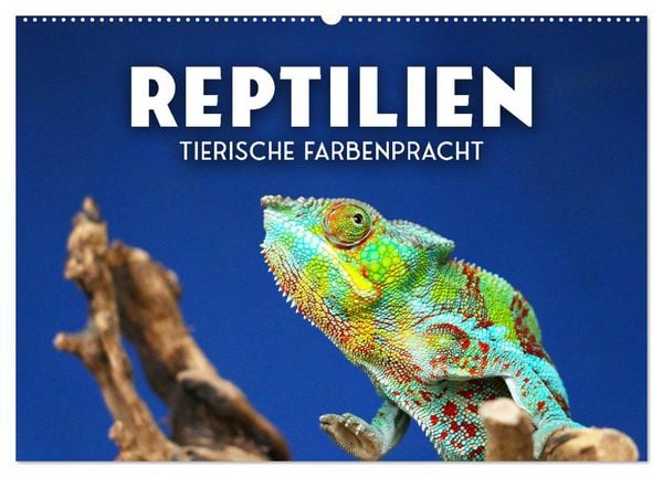 Produktbild: Reptilien - Tierische Farbenpracht (Wandkalender 2026 DIN A2 quer), CALVENDO Monatskalender