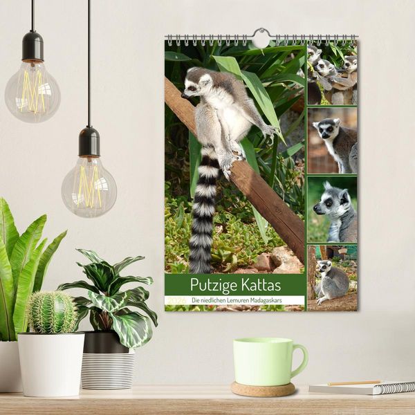 Produktbild: Putzige Kattas (Wandkalender 2026 DIN A4 hoch), CALVENDO Monatskalender