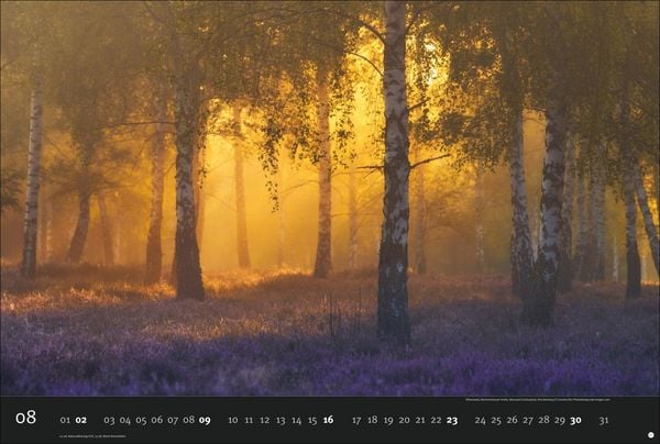 Produktbild: Deutschlands Naturparadiese Kalender 2026