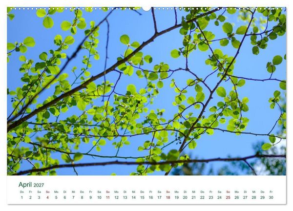 Produktbild: Feldaisttal bei Pregarten (hochwertiger Premium Wandkalender 2027 DIN A2 quer), Kunstdruck in Hochglanz