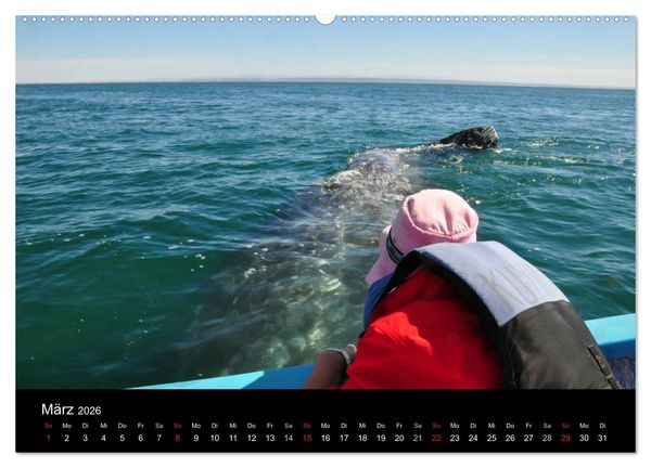 Produktbild: Baja California - Impressionen der mexikanischen Halbinsel (Wandkalender 2026 DIN A2 quer), CALVENDO Monatskalender