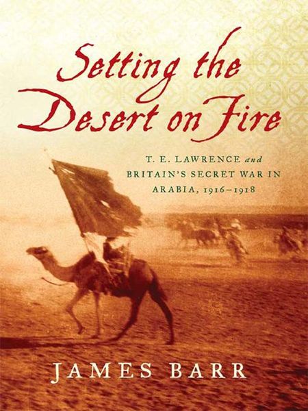 Produktbild: Setting the Desert on Fire