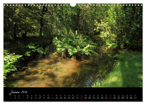 Produktbild: Broc&eacute;liande / Zauberwald der Bretagne (Wandkalender 2026 DIN A3 quer), CALVENDO Monatskalender