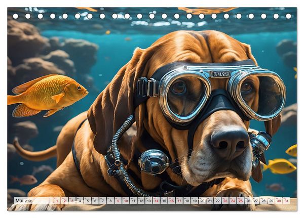 Produktbild: Hunde abgetaucht (Tischkalender 2026 DIN A5 quer), CALVENDO Monatskalender
