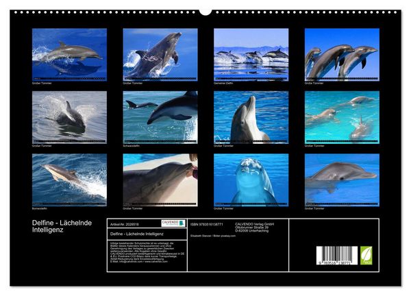 Produktbild: Delfine - L&auml;chelnde Intelligenz (hochwertiger Premium Wandkalender 2026 DIN A2 quer), Kunstdruck in Hochglanz