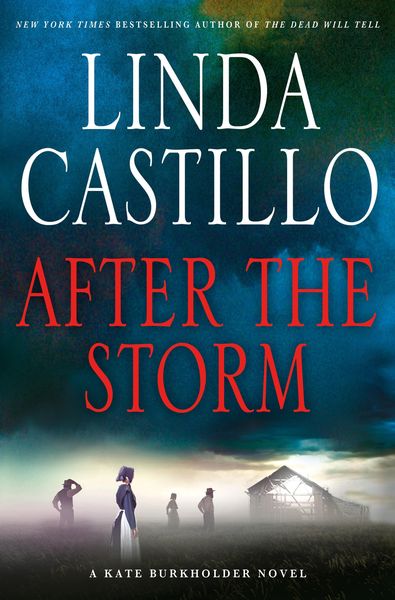 Produktbild: After The Storm