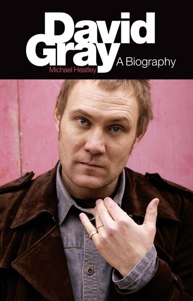 Produktbild: David Gray: A Biography