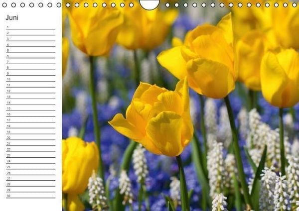 Produktbild: Ich denk an Dich ... Pers&ouml;nlicher Terminkalender (Wandkalender immerw&auml;hrend DIN A4 quer)