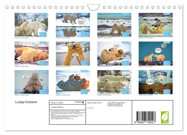 Produktbild: Lustige Eisb&auml;ren (Wandkalender 2026 DIN A4 quer), CALVENDO Monatskalender