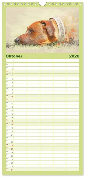 Produktbild: Familienplaner 2026 - Rhodesian Ridgeback 2026 mit 5 Spalten (Wandkalender, 21 x 45 cm) CALVENDO