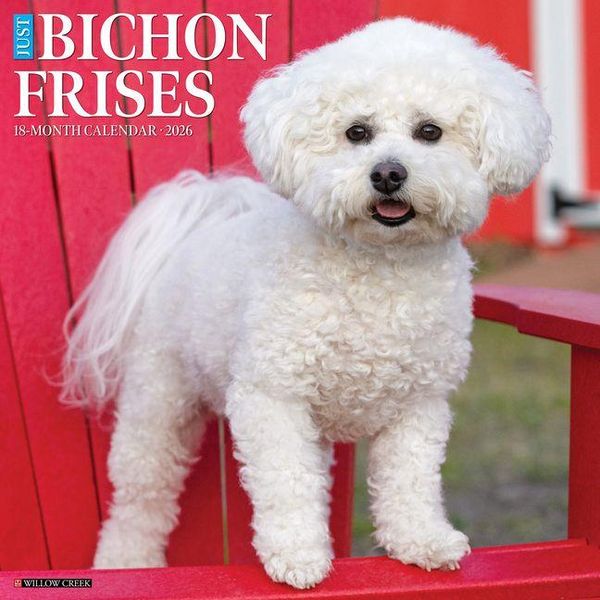 Produktbild: Bichon Frises 2026 Wall Calendar