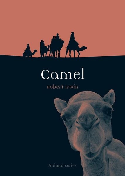 Produktbild: Camel