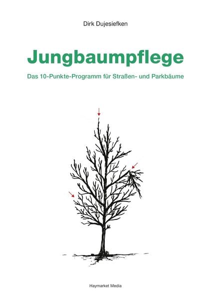 Produktbild: Jungbaumpflege