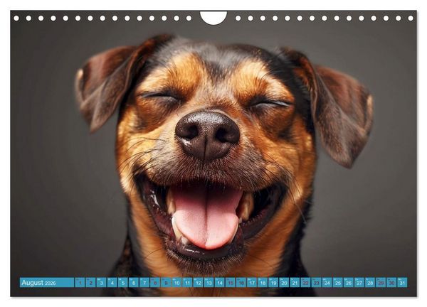 Produktbild: L&auml;chelnde Hunde sind wie Sonnenschein auf vier Pfoten (Wandkalender 2026 DIN A4 quer), CALVENDO Monatskalender