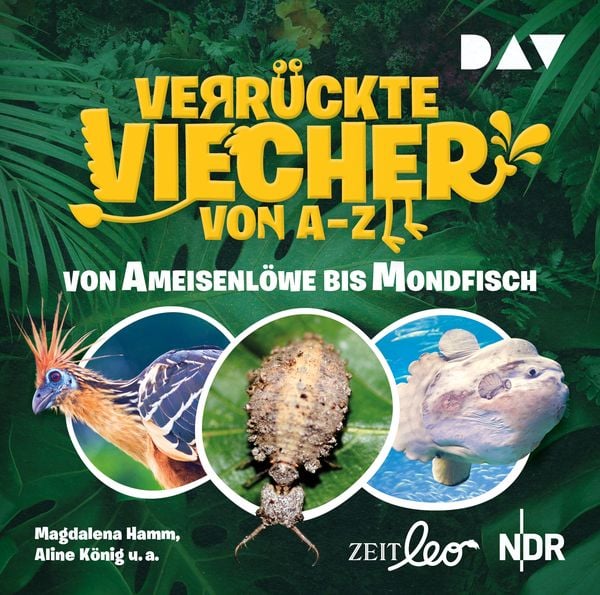 Produktbild: Verr&uuml;ckte Viecher von A bis Z &ndash; Teil 1: Von Ameisenl&ouml;we bis Mondfisch