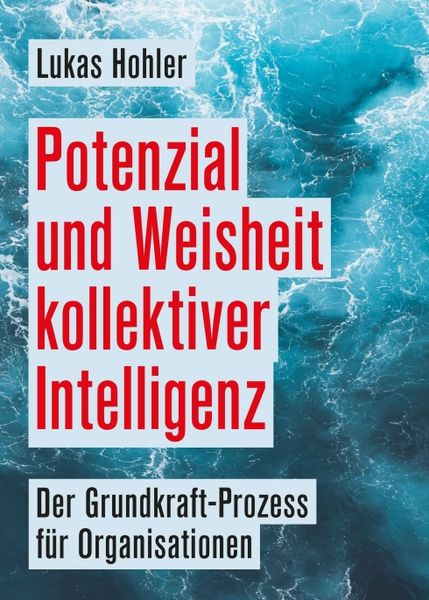 Produktbild: Potenzial und Weisheit kollektiver Intelligenz