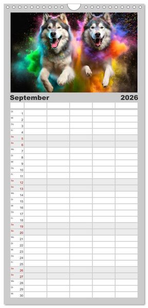 Produktbild: Familienplaner 2026 - Holi Pulver - Doppelte Action mit 5 Spalten (Wandkalender, 21 x 45 cm) CALVENDO