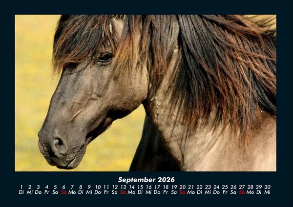 Produktbild: Welt der Pferde 2026 Fotokalender DIN A4