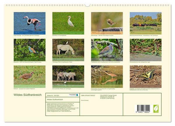 Produktbild: Wildes S&uuml;dfrankreich (hochwertiger Premium Wandkalender 2026 DIN A2 quer), Kunstdruck in Hochglanz