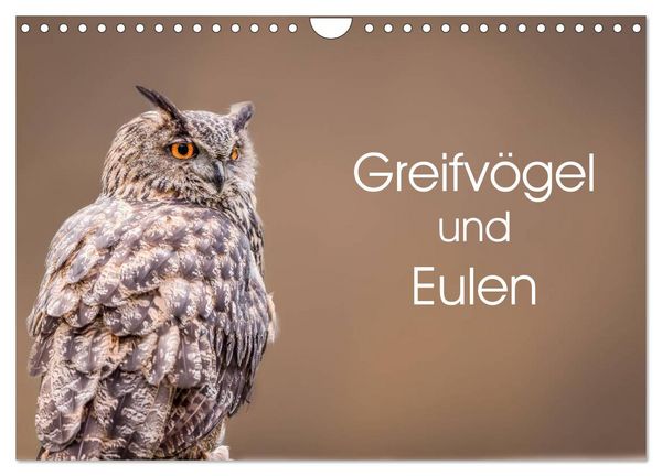 Produktbild: Greifv&ouml;gel und Eulen (Wandkalender 2026 DIN A4 quer), CALVENDO Monatskalender