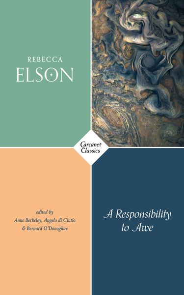 Produktbild: A Responsibility to Awe