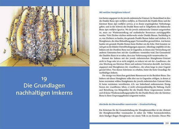 Produktbild: Nachhaltig Imkern mit gesunden Honigbienen