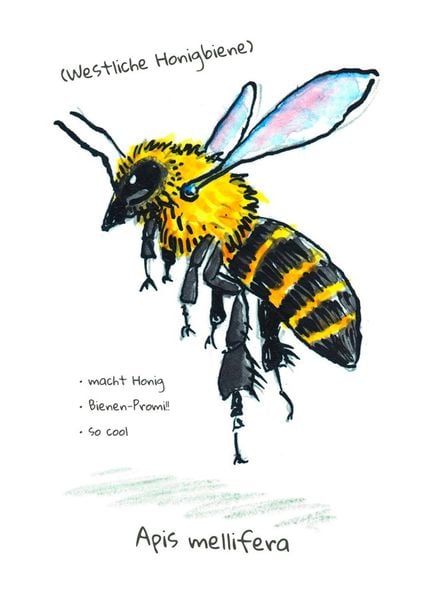 Produktbild: Omg Bees