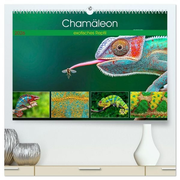 Produktbild: Cham&auml;leon - exotisches Reptil (hochwertiger Premium Wandkalender 2026 DIN A2 quer), Kunstdruck in Hochglanz