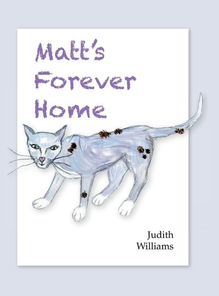 Produktbild: Matt's Forever Home