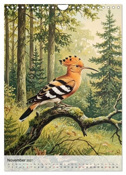 Produktbild: V&ouml;gel, die man selten sieht (Wandkalender 2027 DIN A4 hoch), CALVENDO Monatskalender