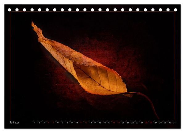 Produktbild: Blattkunstwerke (Tischkalender 2026 DIN A5 quer), CALVENDO Monatskalender
