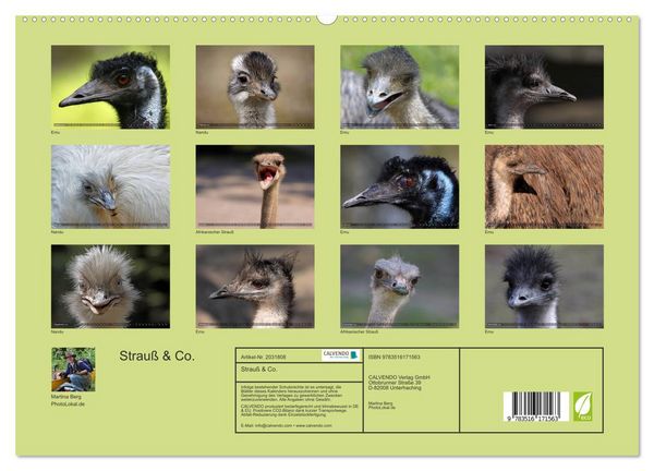 Produktbild: Strau&szlig; & Co. (hochwertiger Premium Wandkalender 2026 DIN A2 quer), Kunstdruck in Hochglanz