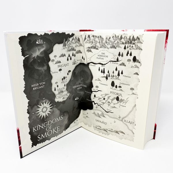 Produktbild: Kingdoms of Smoke &ndash; Die Verschw&ouml;rung von Brigant