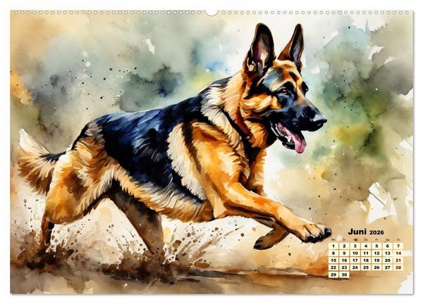 Produktbild: Deutsche Sch&auml;ferhunde - Klassiker rund um den Globus (hochwertiger Premium Wandkalender 2026 DIN A2 quer), Kunstdruck in Hochglanz