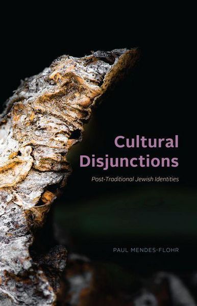 Produktbild: Cultural Disjunctions