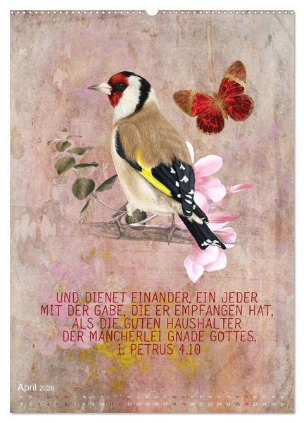 Produktbild: Bibelworte f&uuml;r Vogelfreunde (Wandkalender 2026 DIN A2 hoch), CALVENDO Monatskalender