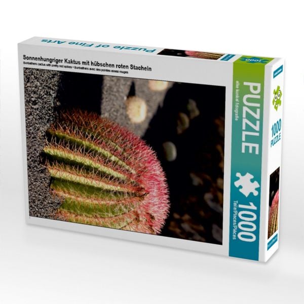 Produktbild: CALVENDO Puzzle Sonnenhungriger Kaktus mit h&uuml;bschen roten Stacheln | 1000 Teile Lege-Gr&ouml;&szlig;e 64x48cm Foto-Puzzle f&uuml;r gl&uuml;ckliche Stunden
