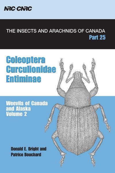 Produktbild: Coleoptera, Curculionidae, Entiminae