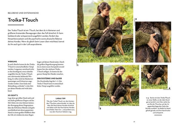 Produktbild: Tellington-Training f&uuml;r Hunde
