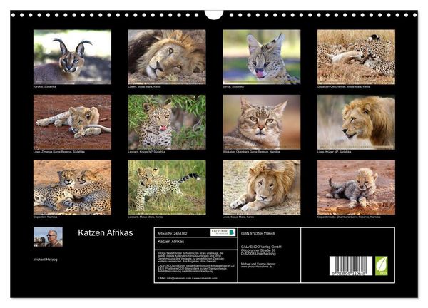 Produktbild: Katzen Afrikas (Wandkalender 2027 DIN A3 quer), CALVENDO Monatskalender