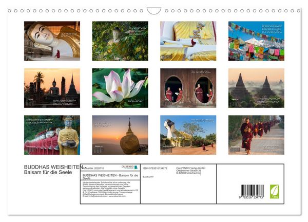 Produktbild: BUDDHAS WEISHEITEN - Balsam f&uuml;r die Seele (Wandkalender 2026 DIN A3 quer), CALVENDO Monatskalender