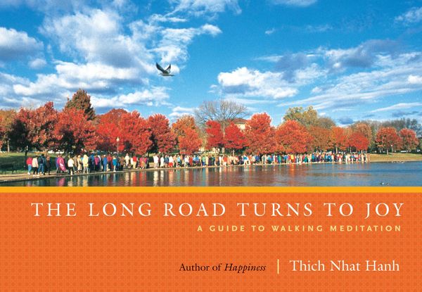 Produktbild: The Long Road Turns to Joy