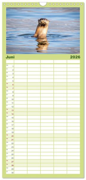 Produktbild: Familienplaner 2026 - Wildtierkalender mit 5 Spalten (Wandkalender, 21 x 45 cm) CALVENDO