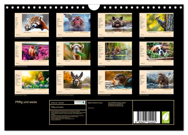 Produktbild: Pfiffig und weise (Wandkalender 2026 DIN A4 quer), CALVENDO Monatskalender