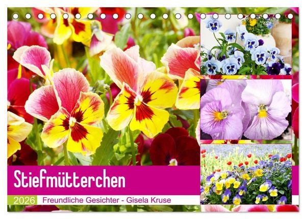 Produktbild: Stiefm&uuml;tterchen Freundliche Gesichter (Tischkalender 2026 DIN A5 quer), CALVENDO Monatskalender