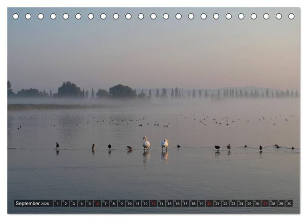 Produktbild: Zauberhafter Bodensee (Tischkalender 2026 DIN A5 quer), CALVENDO Monatskalender