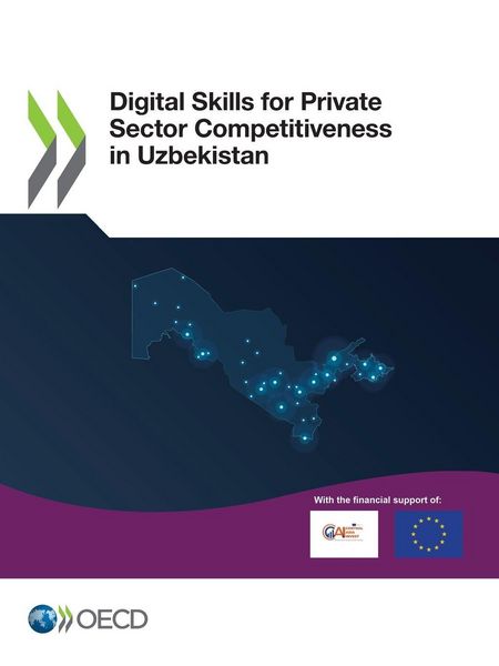 Produktbild: Digital Skills for Private Sector Competitiveness in Uzbekistan