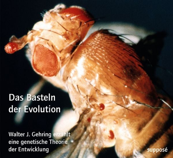 Produktbild: Das Basteln der Evolution