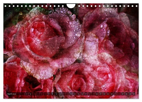 Produktbild: Gothic Rose - Rosen aus dem Garten der Finsternis (Wandkalender 2026 DIN A4 quer), CALVENDO Monatskalender